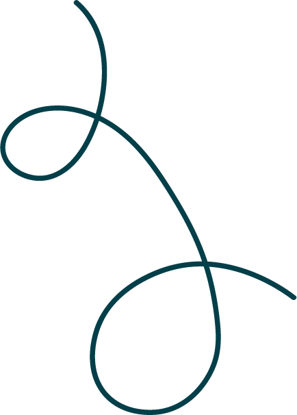 Program Mission